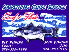 Shorething Guide Service